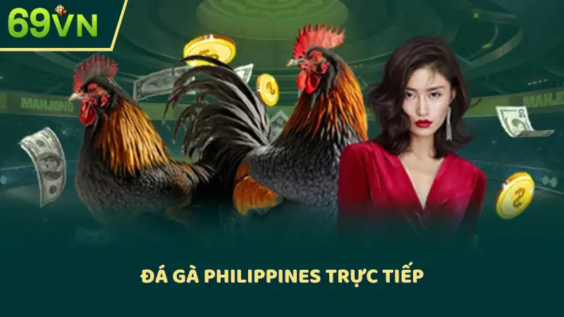 Đá gà Philippines trực tiếp