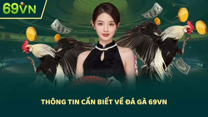 Thông tin cần biết về đá gà 69VN